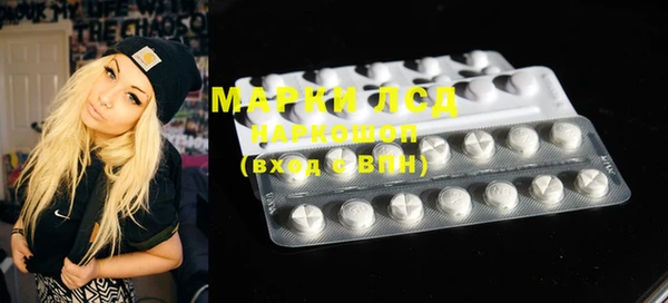 ECSTASY Горняк
