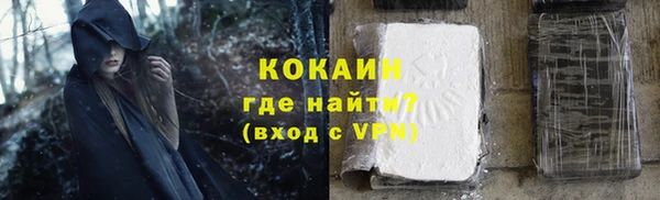 ECSTASY Горняк