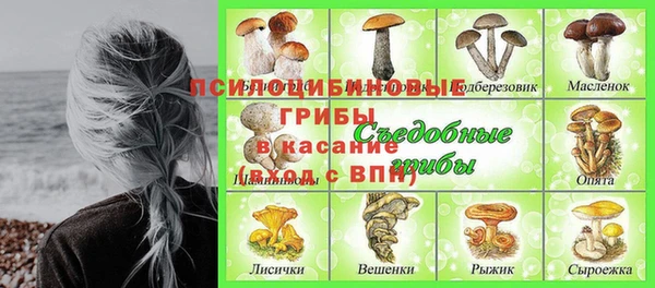 ECSTASY Горняк
