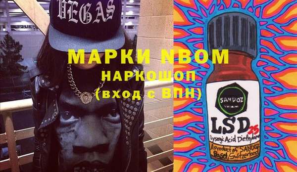ECSTASY Горняк
