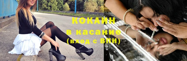 ECSTASY Горняк