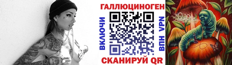 Купить где  Артёмовский  Псилоцибиновые грибы GOLDEN TEACHER 
